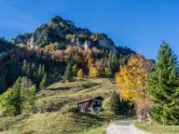 Bründling Alm und Tröpflwand beim Hochfelln